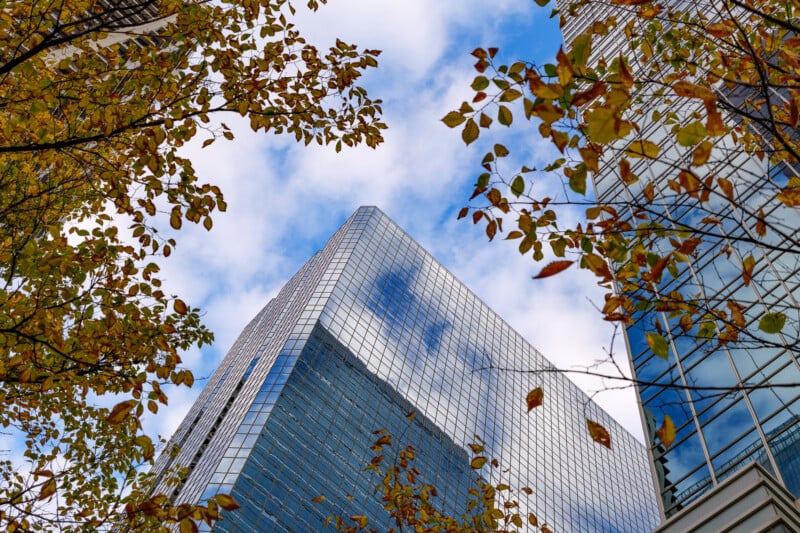 Upward view of a modern glass skyscraper against a blue sky with clouds, framed by autumnal tree branches with yellow and orange leaves.