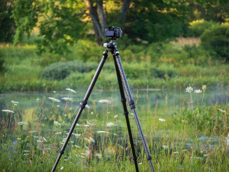 Best Tripod Guide